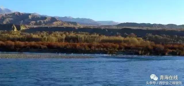 太有才了！一欢蛋把青海30个地名连在一起读