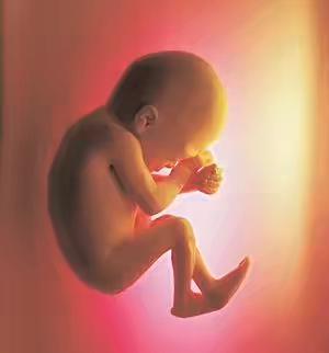 已生小孩的宝妈怀男怀女分享,全职宝妈怀了二胎纠结要不要