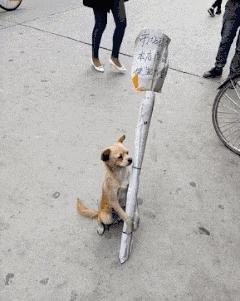 姣忔棩绗戞姤鐖嗙瑧璇綍,姣忔棩绗戞姤2014