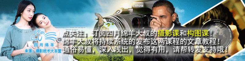 canon单反相机入门教程图解,尼康d5600单反相机入门教程