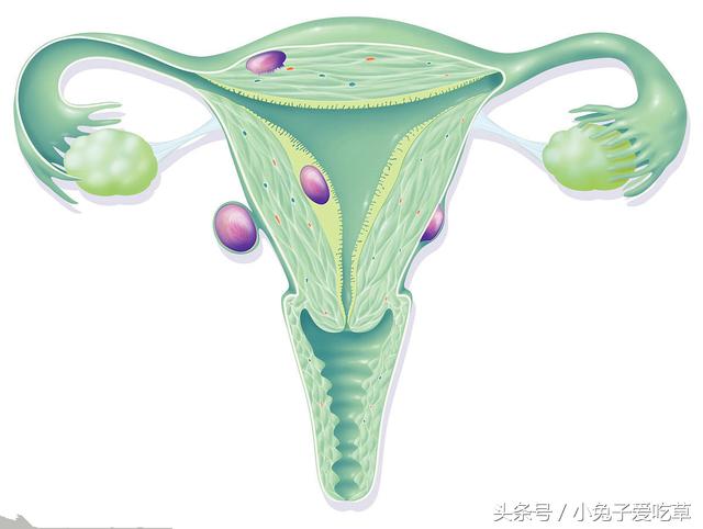 42岁女性月经不调还尿频,后医院检查,医生一开口,她当场被吓懵
