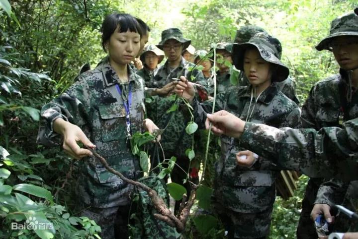 在茫茫人海一眼认出你,在茫茫人海中一眼认出你视频