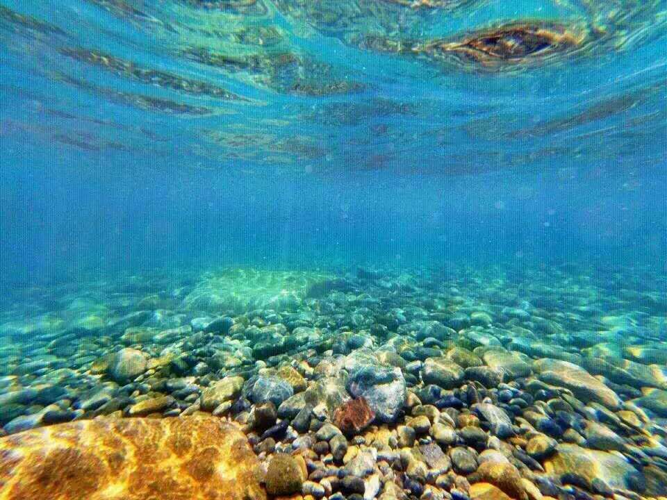 越南芽庄五指湾游记,柬埔寨越南芽庄的游记