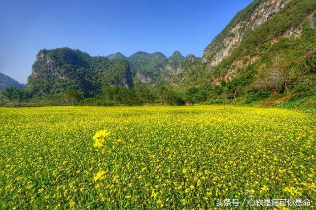 坝美世外桃源简介,坝美世外桃源旅游怎么样