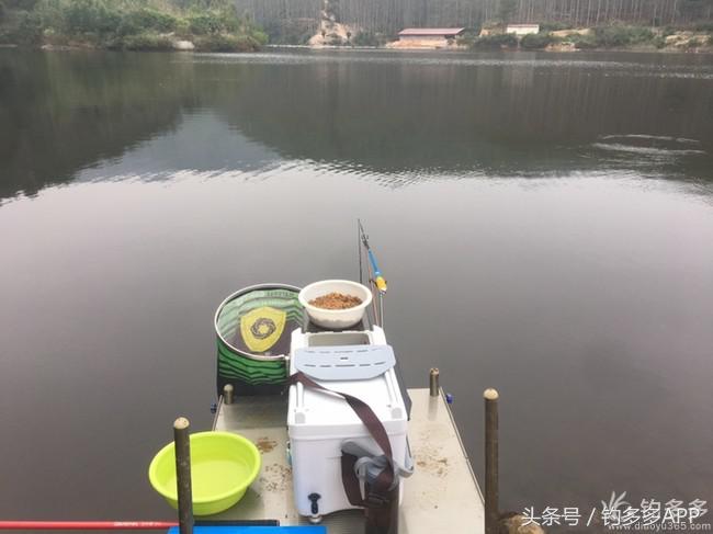 奔横县只为巴西雕，遇降温无奈成掐鲤