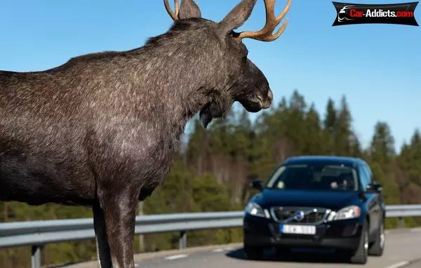 瑞典是什么系的车,瑞典汽车是什么样的存在