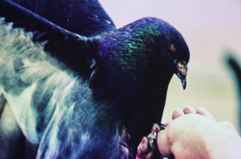 小米投影最新推荐,小米最具性价比的一款投影