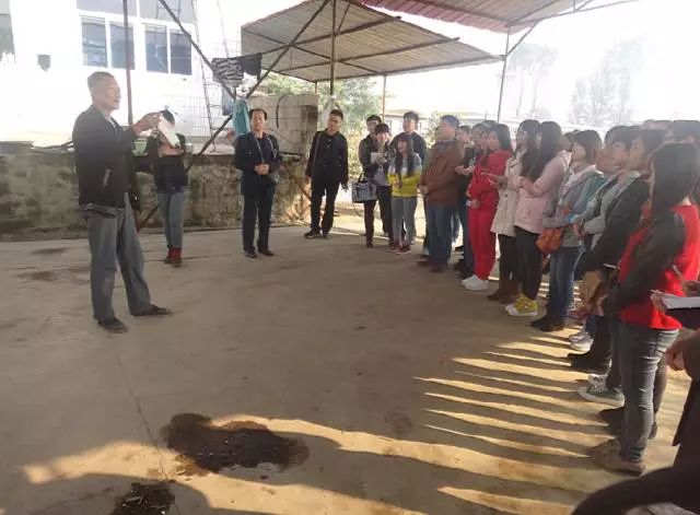 秦皇岛老年人创业项目,秦皇岛花甲老人