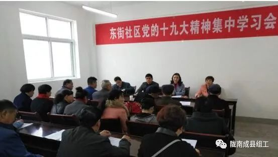 认真贯彻学习党的二十大精神,基础党支部学习十九大精神