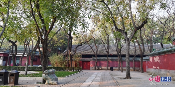 荣耀畅玩7x的上一代手机,荣耀畅玩7x新机测评