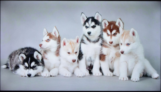 富可视电视60寸,富可视50寸电视机