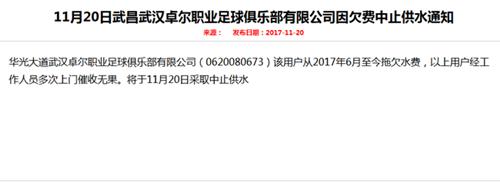 亚马逊与Facebook连出手布局体育媒体,惠若琪亲承不久将退役|懒熊早知道