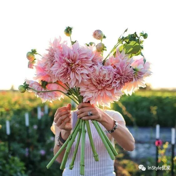 pantone公布的2018的流行色,pantone发布2018年流行色