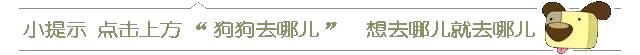 狗狗航空托运需要哪些手续,狗狗国内托运飞机办理流程