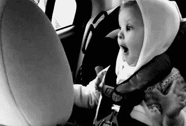 厦门桑叶分布,厦门桑叶位置图