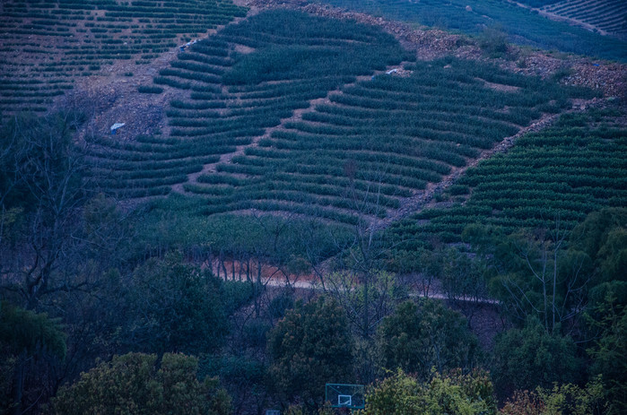 溧阳南山竹海和御水温泉,溧阳天目湖御水温泉旅游攻略