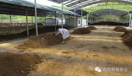 农村新商机小本创业,适合农村创业的小本点子