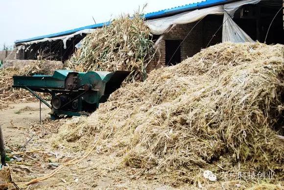 农村新商机小本创业,适合农村创业的小本点子