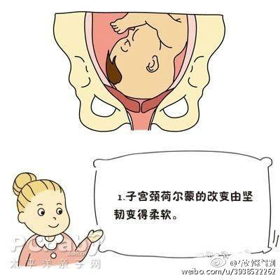 分娩子宫峡部变化,子宫颈细胞变化