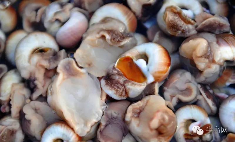 那些不认识的海鲜小干货,超级干货2022