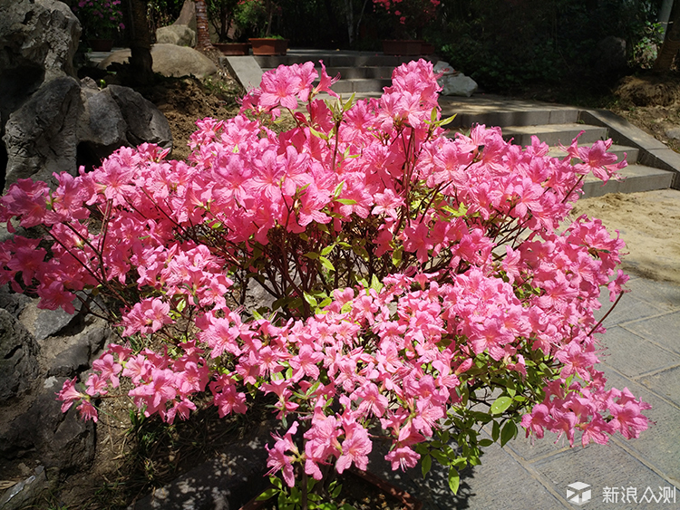 vivoxplay5旗舰版是最强机吗,vivoxplay5旗舰版外观