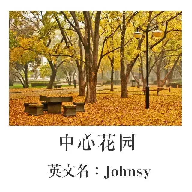 趣谈这里有一本山大非官方英文名称图册