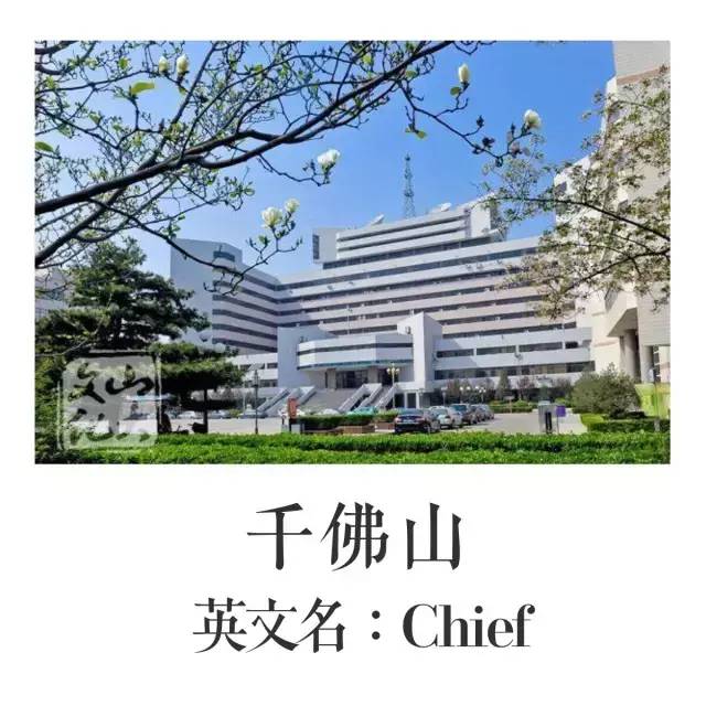 趣谈这里有一本山大非官方英文名称图册