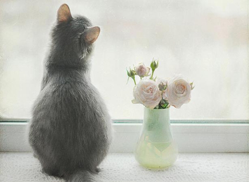 老公吃醋最好的解决方法,老公吃醋了该怎么哄他