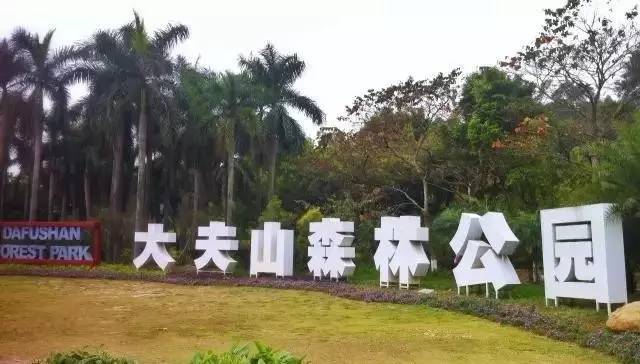 广州十八路地铁沿线景点,广州4号线沿线景点