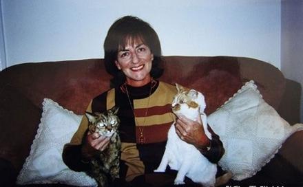 世上最老的猫是什么猫,世界上最老的猫吉尼斯世界纪录