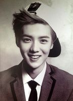 鹿晗原名刘壮实是真的吗,鹿晗的原名是刘壮实吗