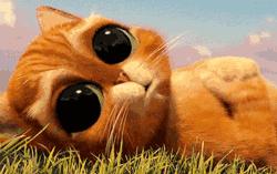 如何在大学期间长高5cm？