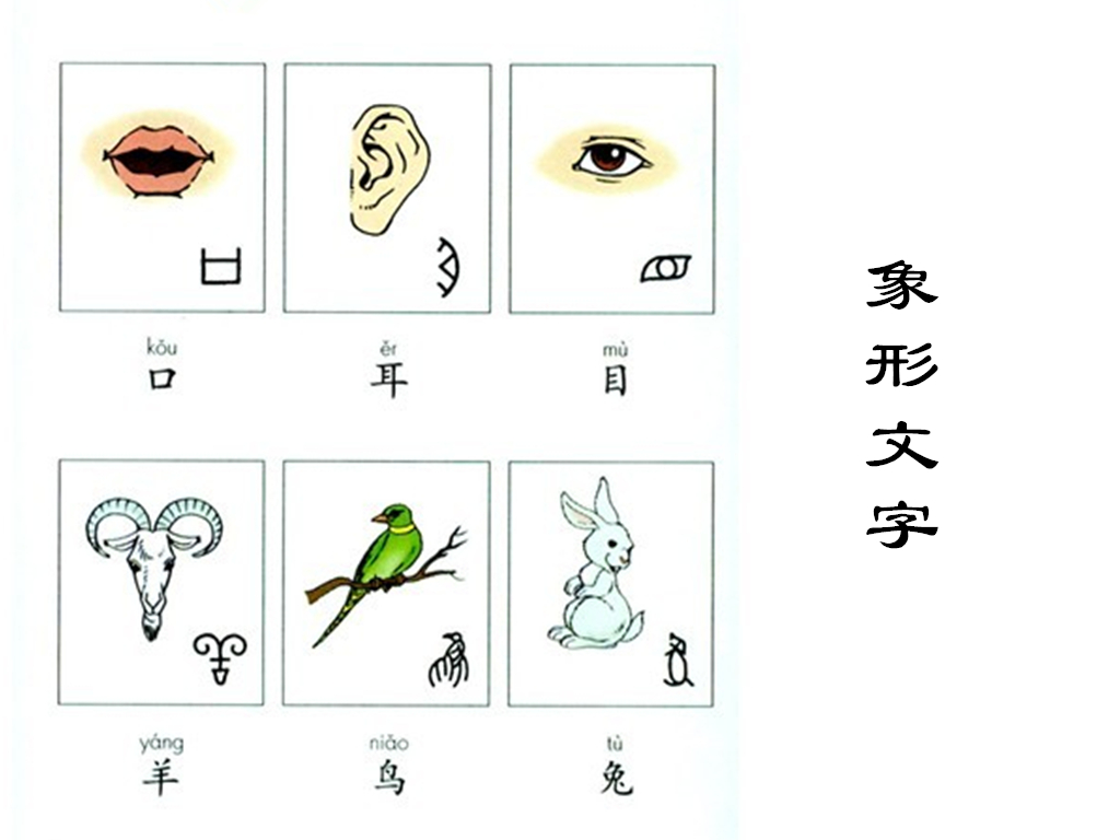 二十四节气之谷雨手抄报内容,二十四节气之谷雨古诗