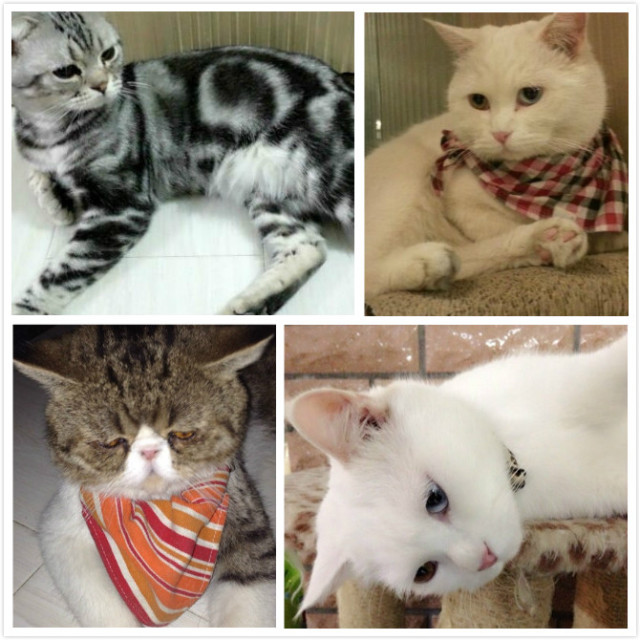 宋仲基欧巴来哈尔滨必去的6家咖啡厅，第3家居然是.....