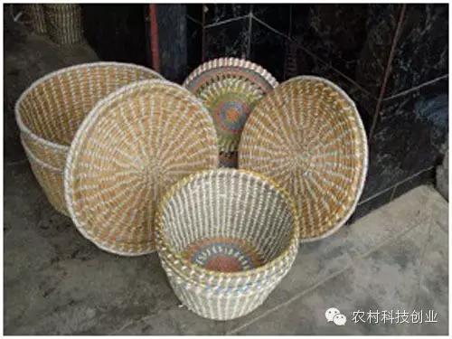 农村新商机小本创业,适合农村创业的小本点子