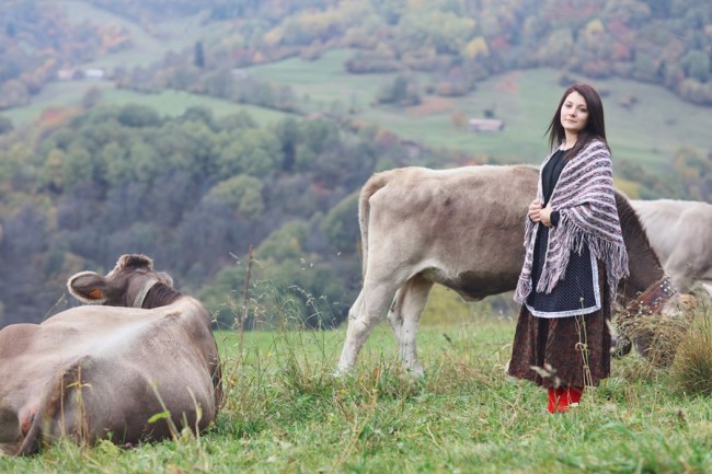 美的定义及其解说作者,美的定义是什么视频
