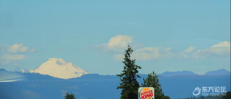 西雅图油价,西雅图油价多少钱