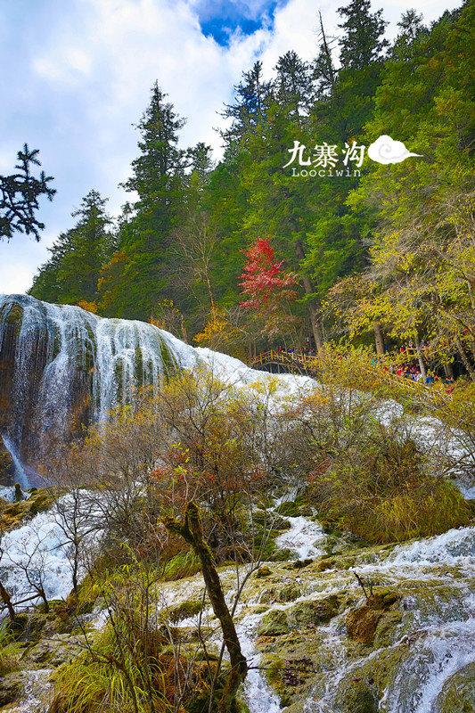 鍛宠暰娴佽繛蹇樿繑,鍛宠暰鐣欐亱