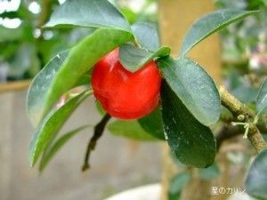 喉咙痛忌口15种食物,喉咙痛吃的食物