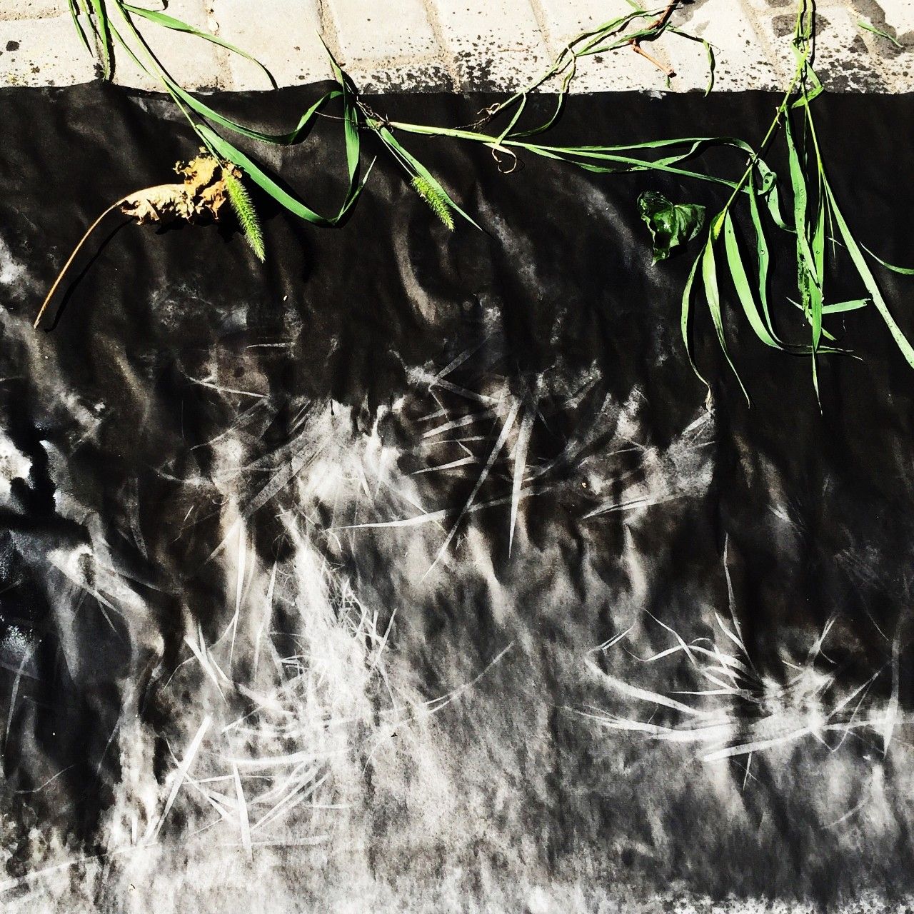 又到了动物们交配的季节，请站在宇宙中心用力呼唤爱！