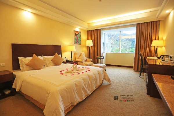 有一种春天叫牡丹花开,有一种春天叫花开艳丽