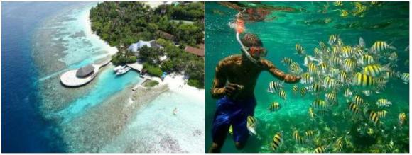 王玉印郑州,王玉印内蒙