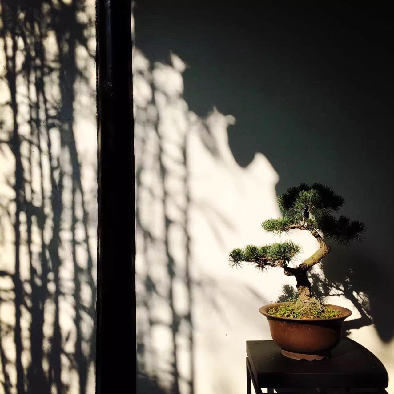 又到了动物们交配的季节，请站在宇宙中心用力呼唤爱！