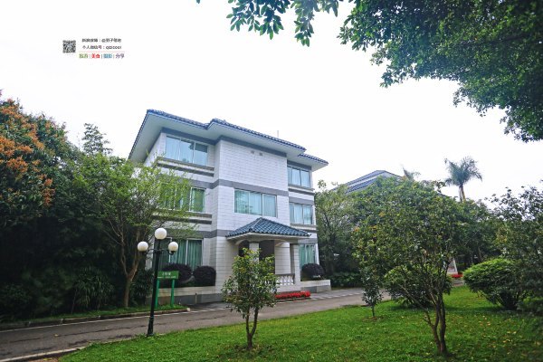 有一种春天叫牡丹花开,有一种春天叫花开艳丽