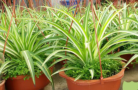 新房子做好有甲醛多久住进去,新房通风三个月入住了