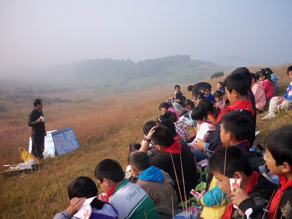 解读低年级识字教学,低年级识字教学方法经验交流课件