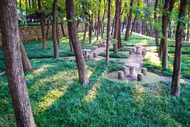 中南民族大学值得学吗,中南民族大学值得读吗