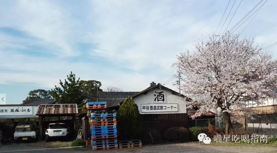 奈良鹰长菩提清酒,奈良时代的日本历史