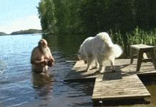 北极比利牛斯山大白熊,比利牛斯大白熊犬