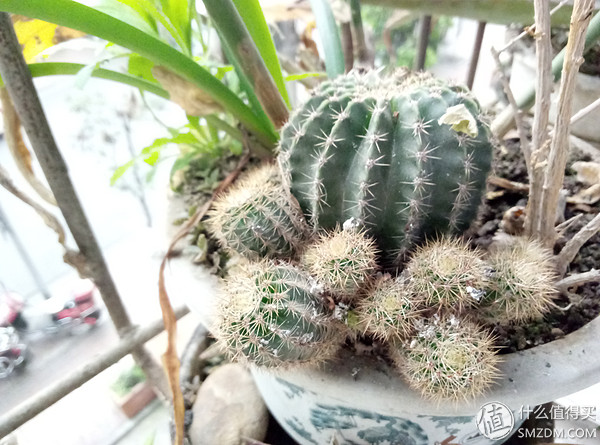 魅蓝note3的价格是多少,千元机新巅峰魅蓝note3全面评测